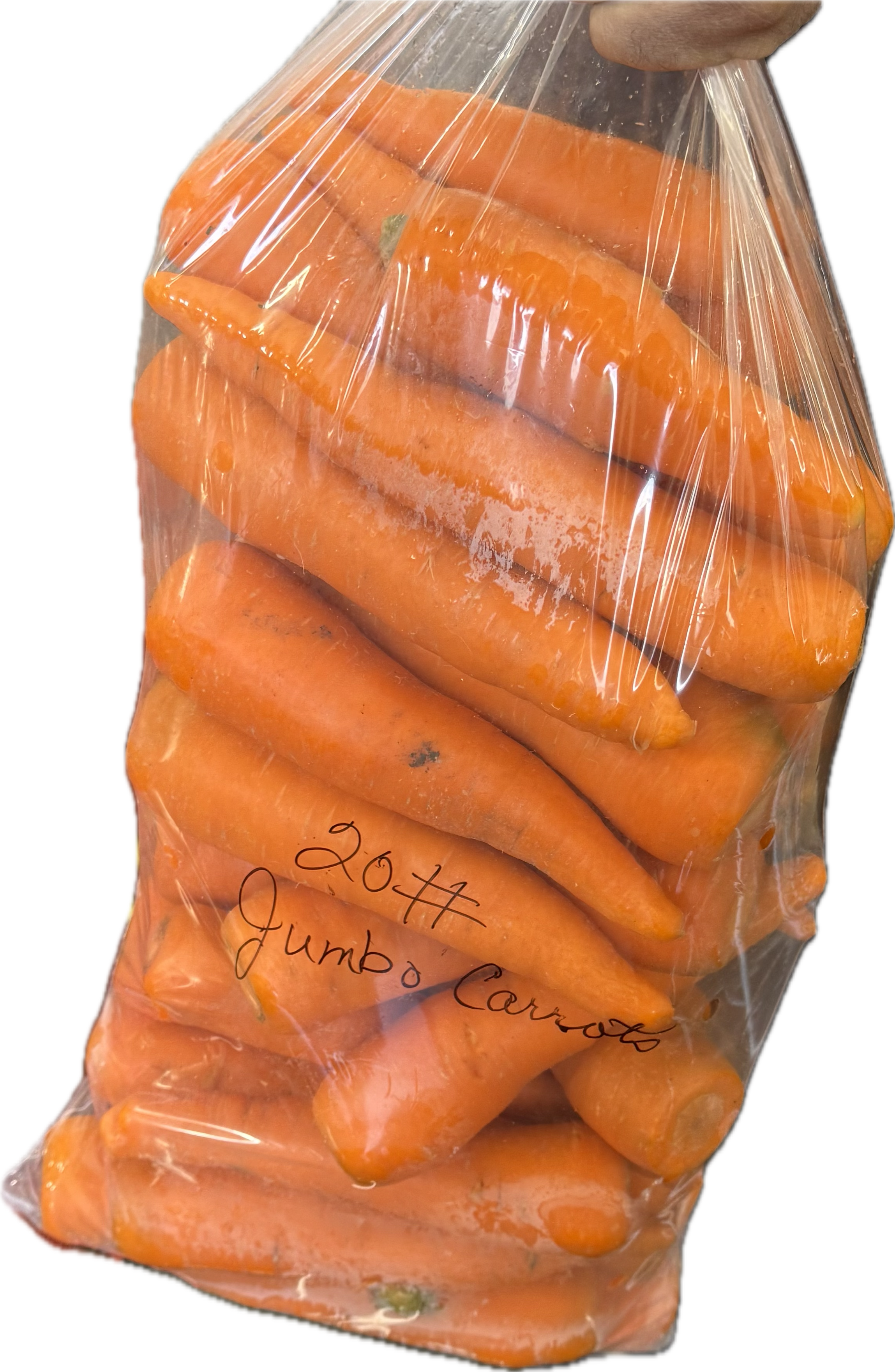 Jumbo Carrots